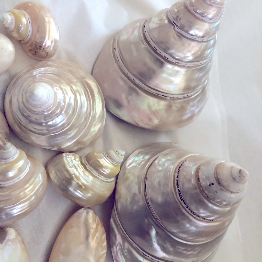 Pearl shells